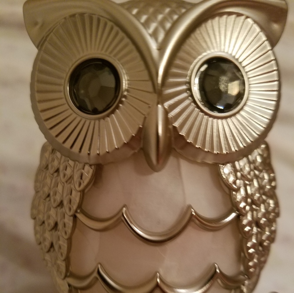 Bath & Body works wallflower plug in